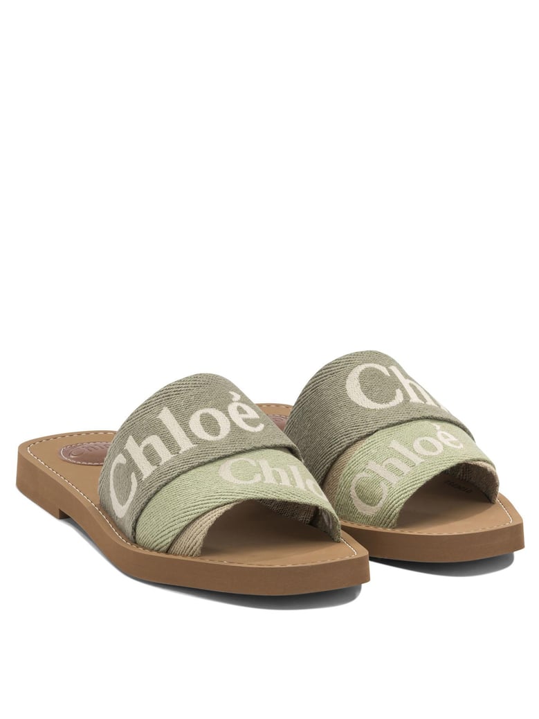 woody slides by Selfnex