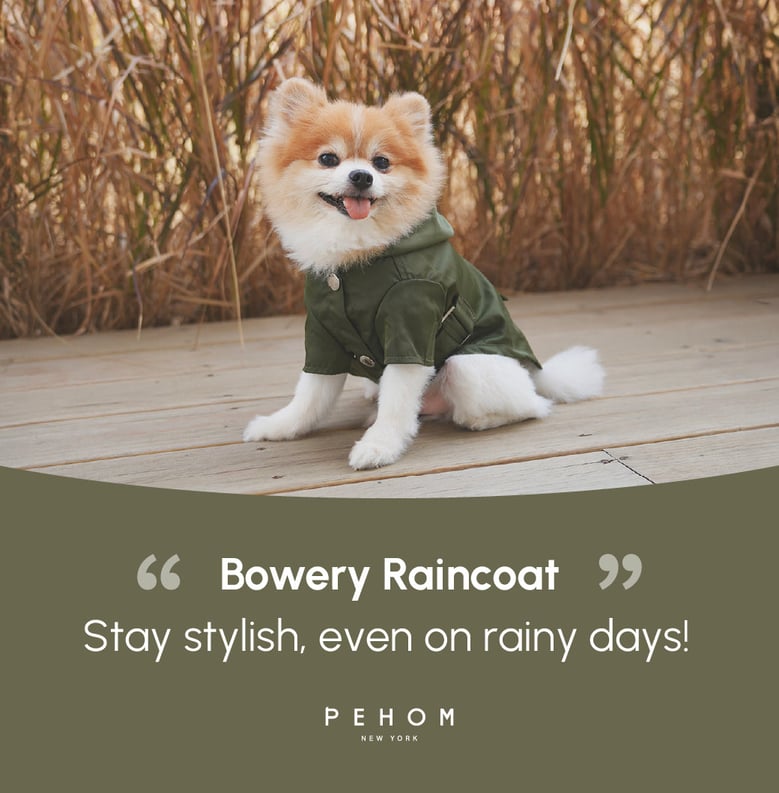bowery raincoat - green by Selfnex