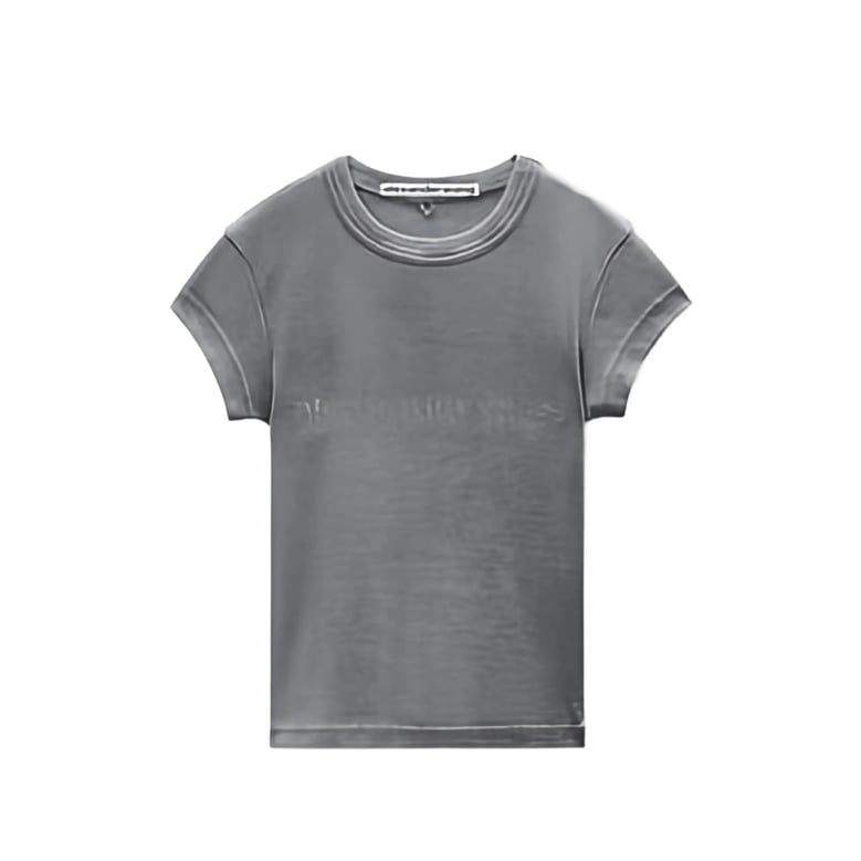 t-shirt alexander wang grey by Selfnex