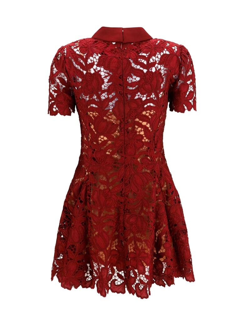 dress short lace burgundy by Selfnex