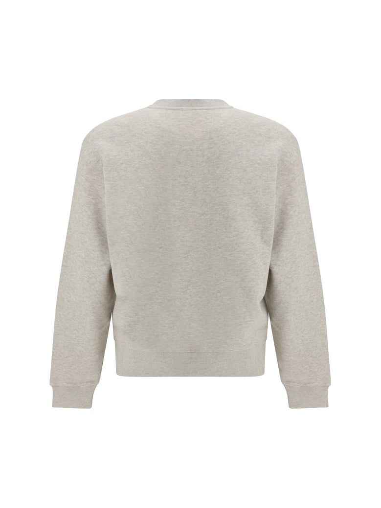 sweatshirt wild tiger pale grey by Selfnex