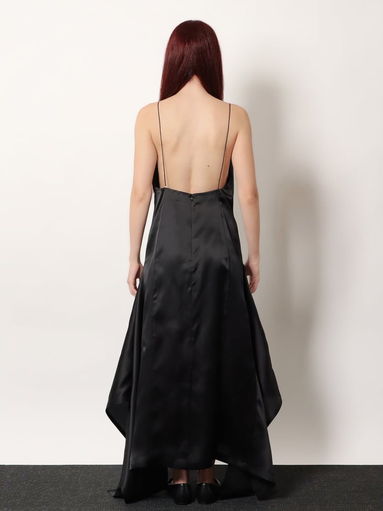 organza dress nith black by Selfnex